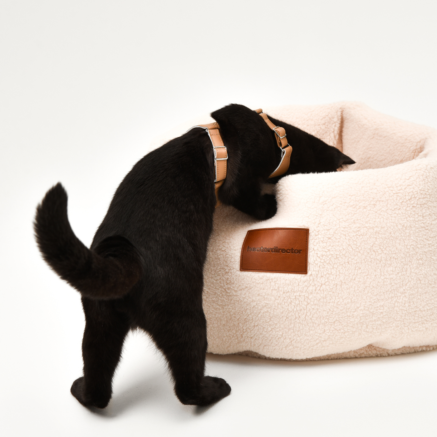 Comfy Cat Bed | Hector Director