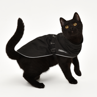 Raincoat Designed For Cats | Hector Director