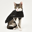 Raincoat Designed For Cats | Hector Director